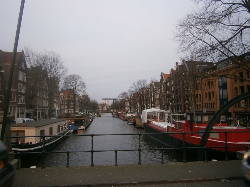 2.5-Hour Amsterdam Sightseeing Tour by Bike - Why a bike-led route is the smartest way to cover Amsterdam fast