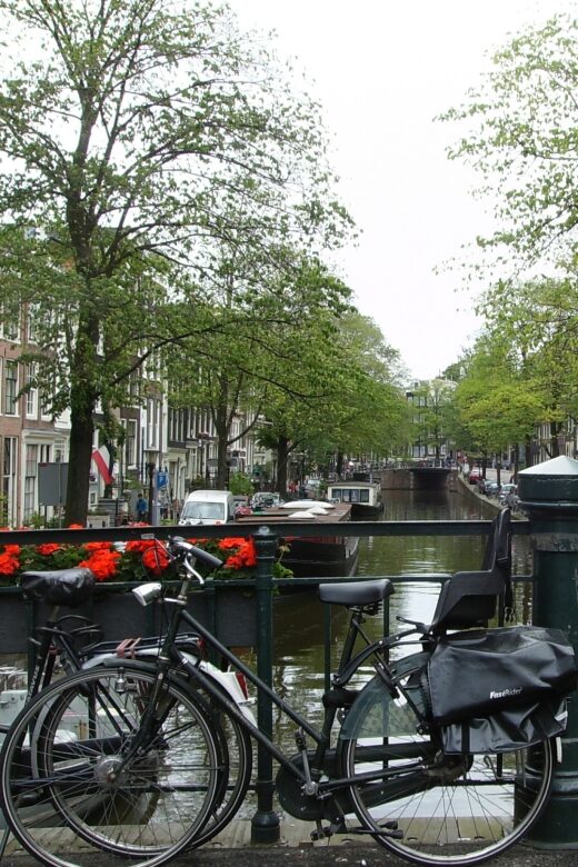 2.5-Hour Amsterdam Sightseeing Tour by Bike - Vondelpark ride-through and scenic canal crossings