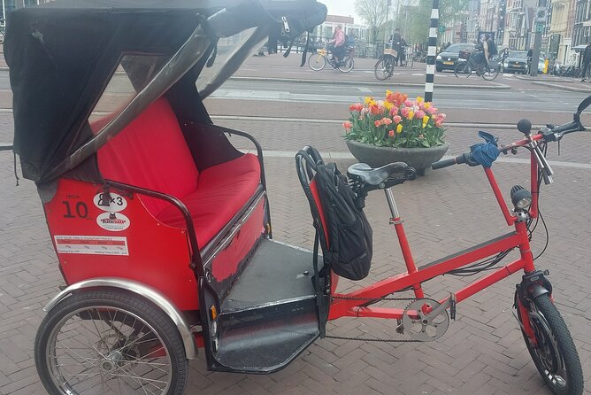 2 Hours Private Amsterdam Rickshaw Tour - Pickup, timing, and meeting points that reduce stress