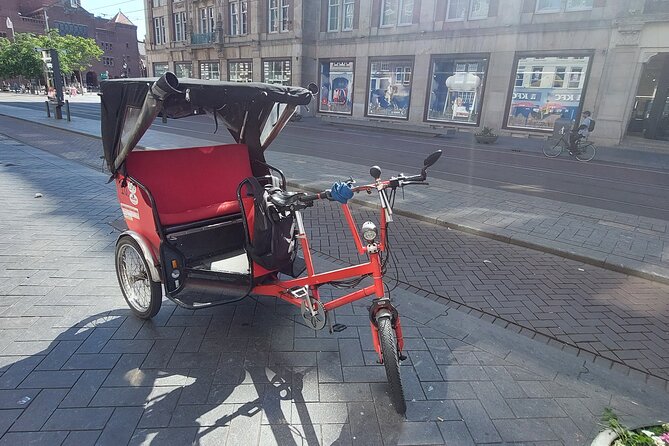 2 Hours Private Amsterdam Rickshaw Tour - Vondelpark air, De Gooyer windmill, and De Negen Straatjes charm