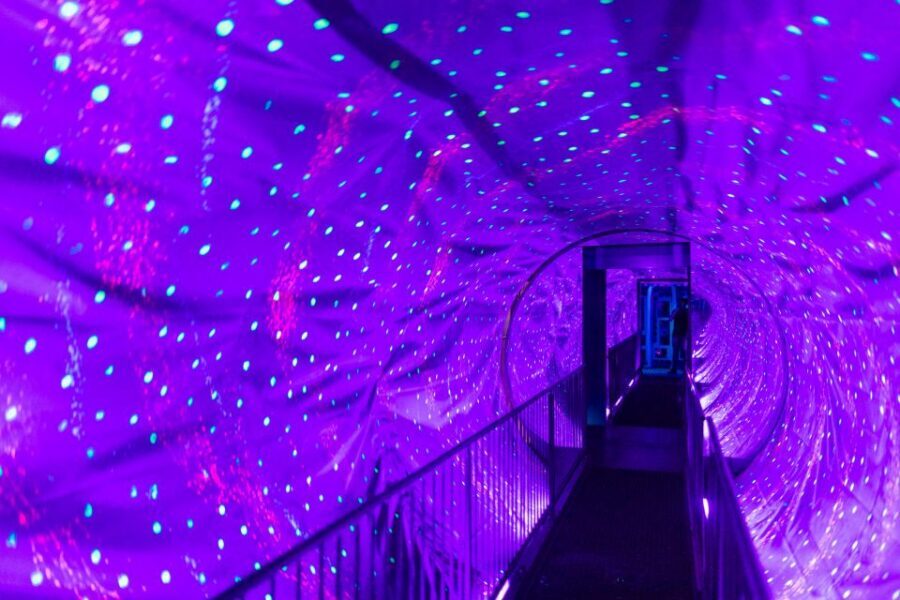 Amsterdam 1-Hour Canal Cruise and Ripley’s Believe it or Not - Audio guides on the water: GPS narration in 19 languages