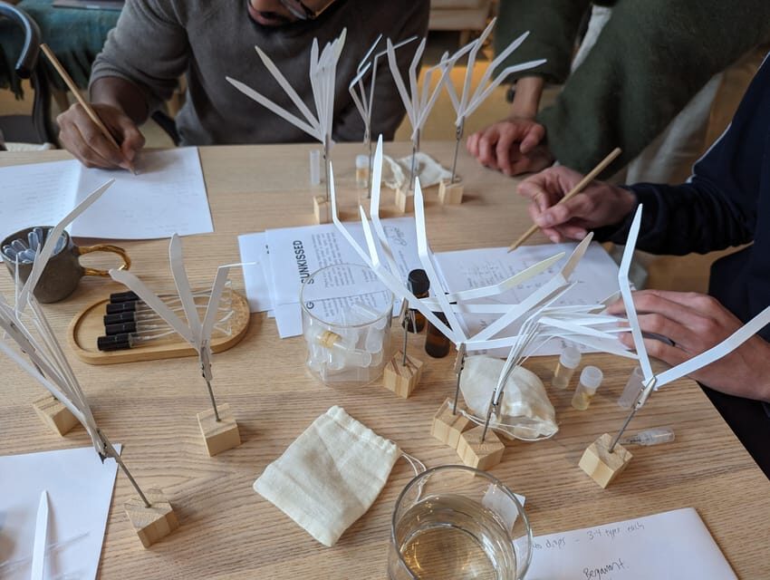 Amsterdam: 3-Hour Mindful Perfume-Making Workshop - Price and Value in Real Terms