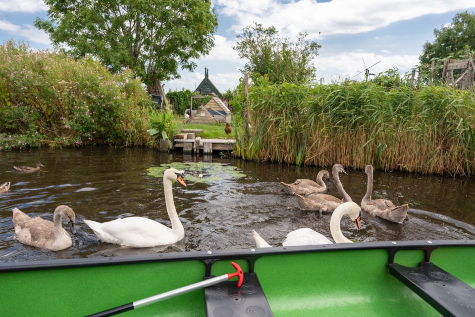 Amsterdam 5-Hour Guided Canoe Trip in the Wetlands - Price and value: what $105 covers