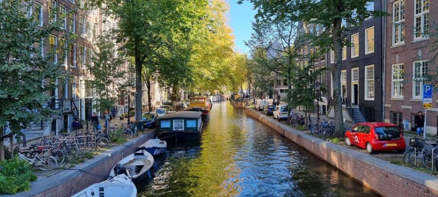 Amsterdam All In One Tour Walking Tour - Price, Tips, and Real Value for $3.53