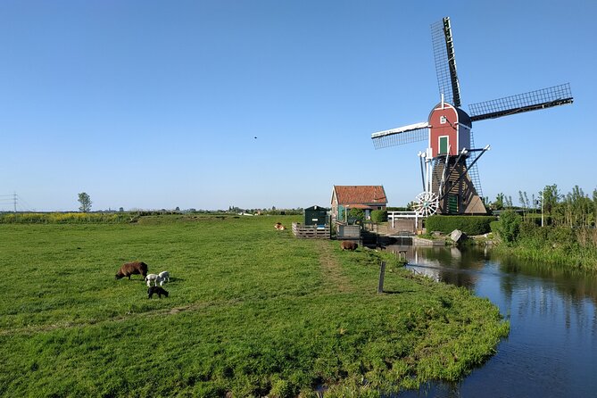 Amsterdam and Countryside Private Full-Day Tour by luxury car - Edam and Monnickendam: Old Towns With a Slower Tourist Feel