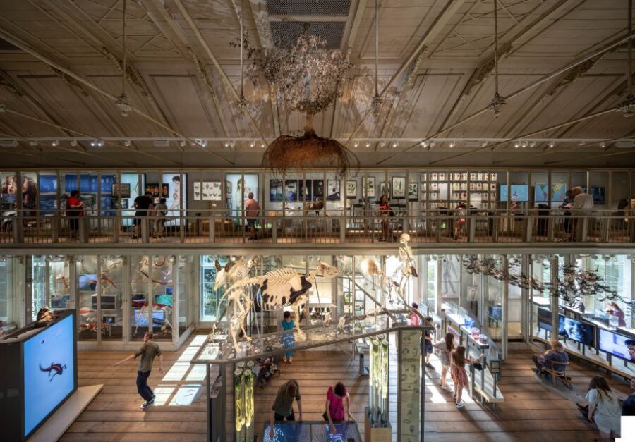 Amsterdam: ARTIS-Groote Museum Entry Ticket - Key Things I’d Focus On