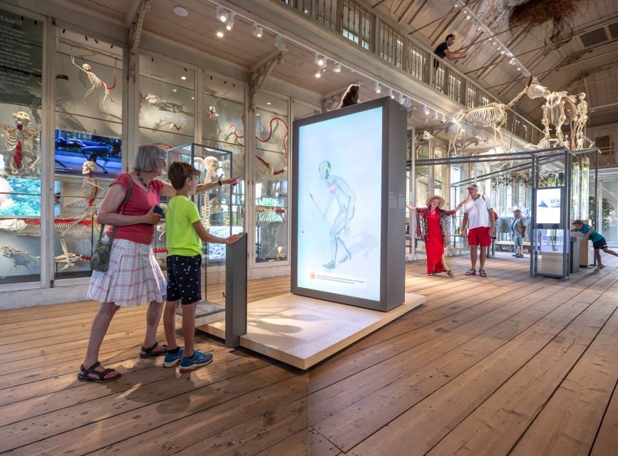 Amsterdam: ARTIS-Groote Museum Entry Ticket - Free Audio Tours and the Scent Tunnel: A Way to Slow Down