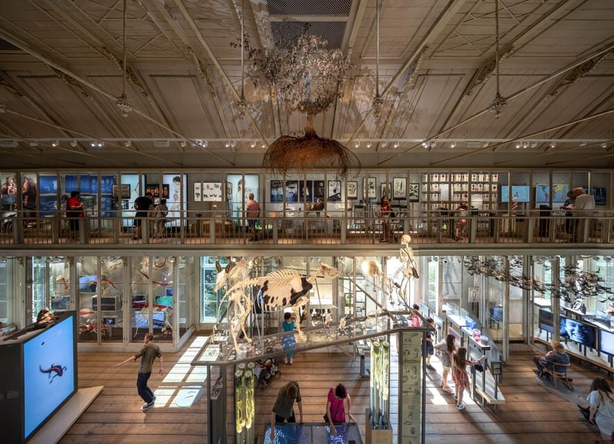 Amsterdam: ARTIS Royal Zoo and ARTIS Groote Museum Ticket - Where this ticket fits best (and what to watch for)