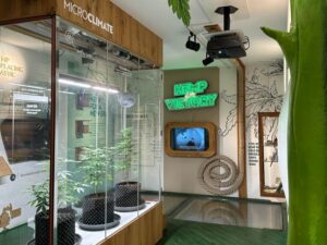 Amsterdam: Cannabis Museum Entry Ticket - How the 3-floor layout keeps the experience moving