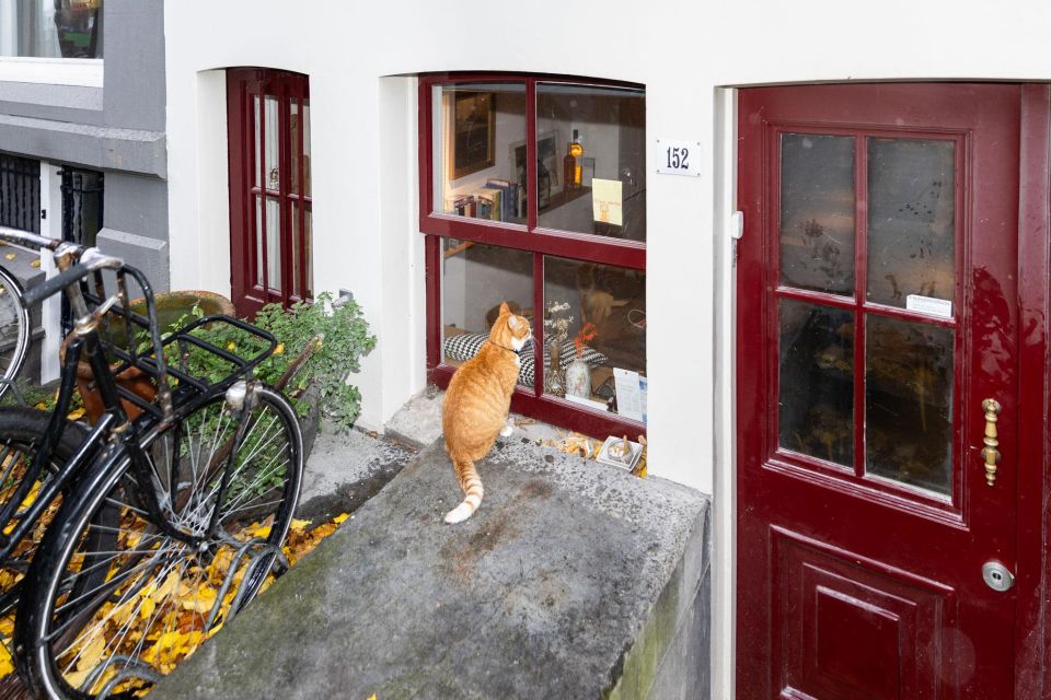 Amsterdam Central Walking Tour - Price and timing: does $26 for 2 hours make sense?