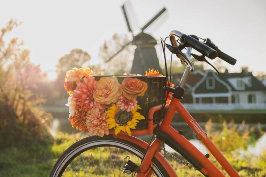 Amsterdam: Cheese, Windmill & Countryside Bike Tour - Ferry ride intermission: the calm break that keeps the day moving