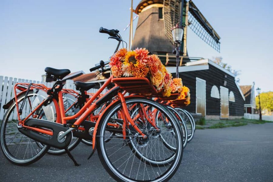Amsterdam: Cheese, Windmill & Countryside Bike Tour - Farm visit: cows, sheep, baby lambs, and the real reason to come