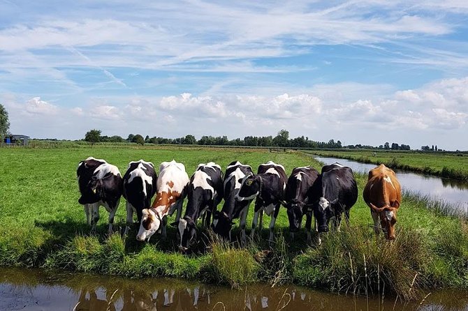 Amsterdam City & Countryside Tour: The Best of both Worlds - Zaanse Schans: windmills, Dutch scenery, and a clog-maker at work