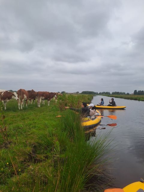 Amsterdam: Countryside Bike and Kayak Guided Tour - Key highlights worth getting excited about