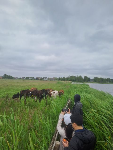 Amsterdam: Countryside Bike and Kayak Guided Tour - Why this bike-and-kayak day feels like a real local escape