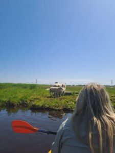 Amsterdam: Countryside Bike and Kayak Guided Tour - Meeting at A’DAM Lookout, then out by ferry to Buiksloterweg