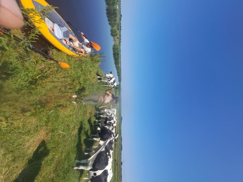 Amsterdam: Countryside Bike and Kayak Guided Tour - North Holland by bike: farmland rhythm, windmill views, and an easy pace