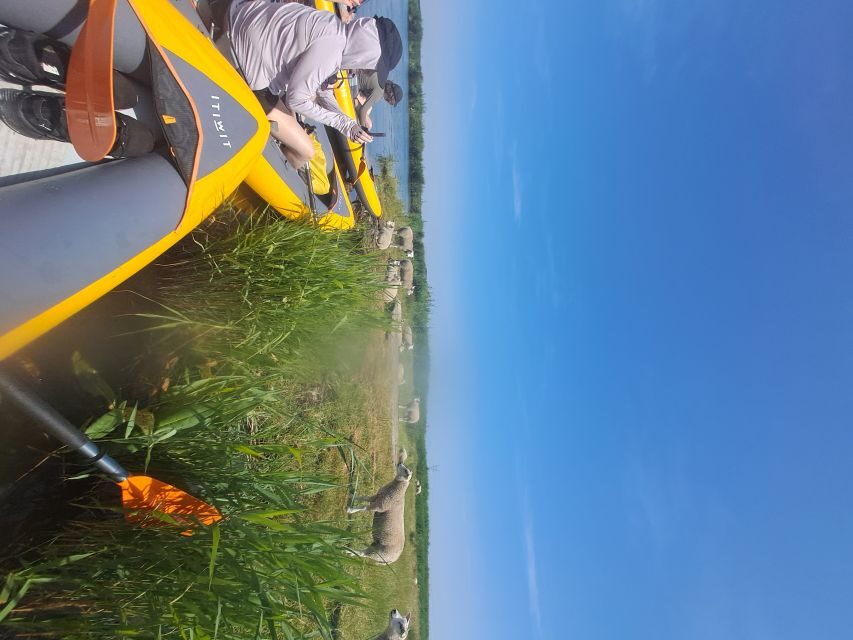 Amsterdam: Countryside Bike and Kayak Guided Tour - The one-hour break: church stop, village sightseeing, and a practical lunch plan
