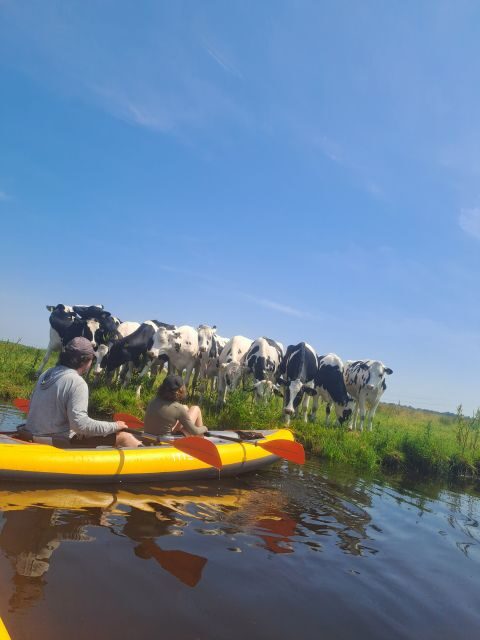 Amsterdam: Countryside Bike and Kayak Guided Tour - What’s included for your $84, and why the value holds up