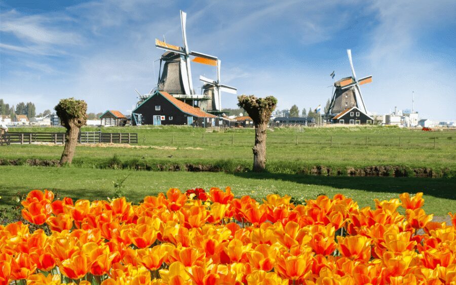 Amsterdam: Day Tour Keukenhof and Zaanse Schans Windmills - From This Is Holland to Zaanse Schans: the easy start