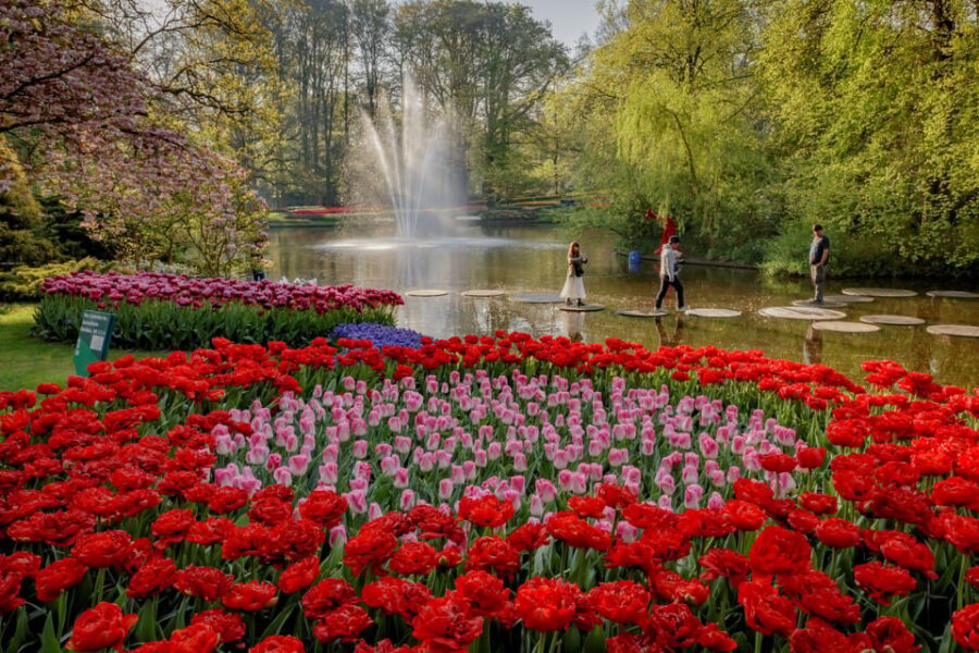Amsterdam: Day Tour Keukenhof and Zaanse Schans Windmills - Who should book this Amsterdam Keukenhof and Zaanse Schans day trip