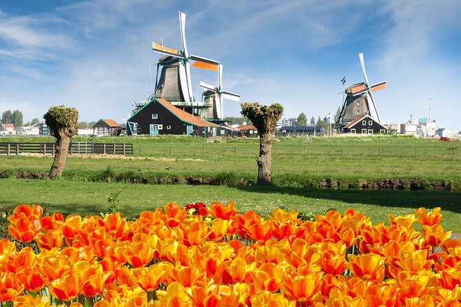 Amsterdam: Day Trip to Keukenhof & Zaanse Schans Windmills - Quick hits: what matters most on this day trip