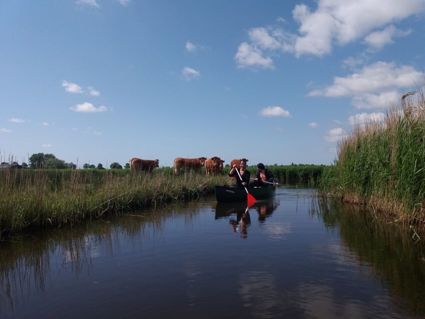Amsterdam: Dutch Countryside Sunset Canoe Tour - What to wear and bring (so wet shoes don’t ruin your night)