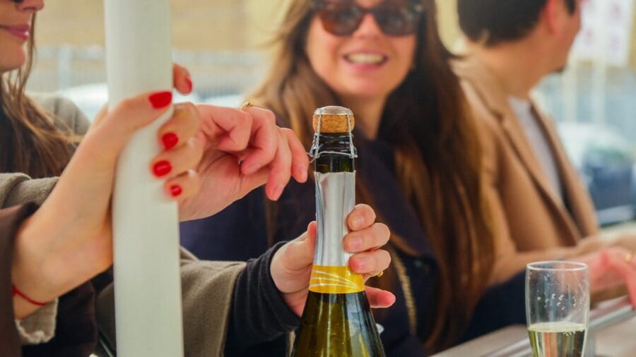 Amsterdam: Dutch Prosecco Party Bike - Key things I’d bet you’ll remember