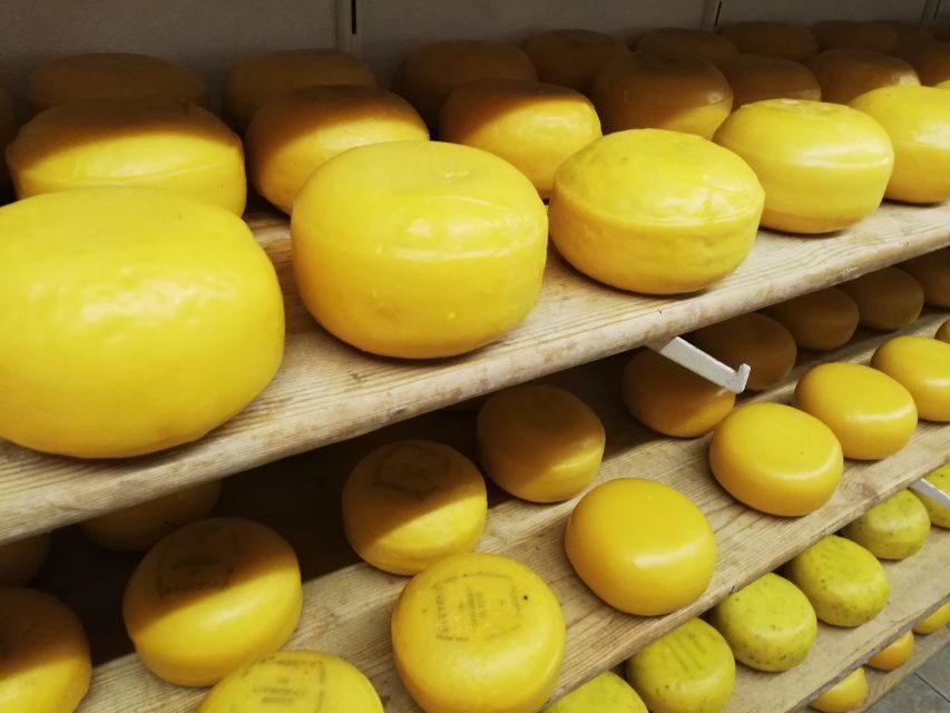 Amsterdam: Full-Day Countryside Tour - Key highlights worth planning for
