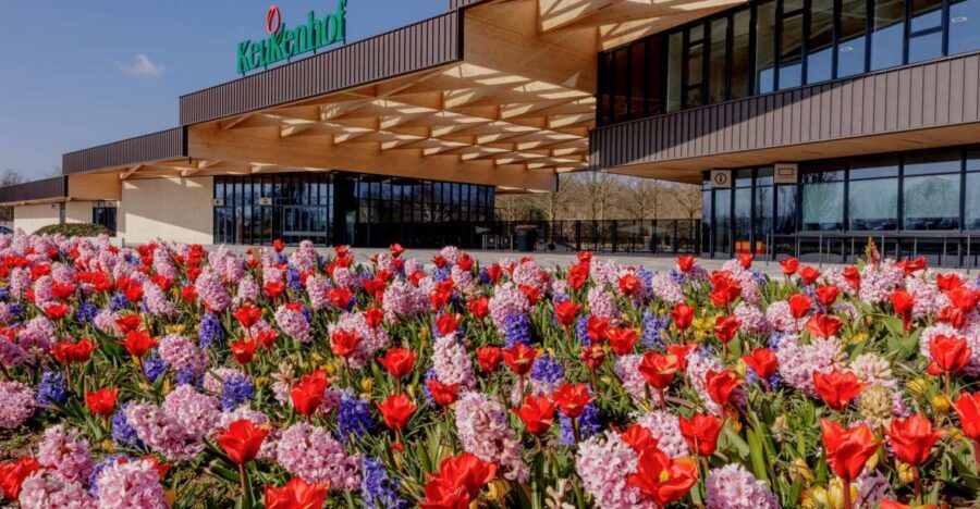 Amsterdam: Half-Day Flower Fields and Keukenhof Bicycle Tour - Key things you’ll notice on this tour