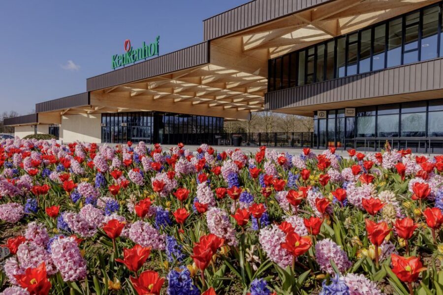 Amsterdam: Half-Day Flower Fields and Keukenhof Bicycle Tour - The bike route through the bulb fields: flat, guided, and made for photos