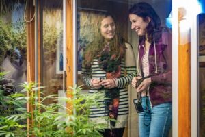 Amsterdam: Hash, Marihuana, and Hemp Museum Entry Ticket - What you’ll see: 9,000 cannabis objects and a live-plant garden