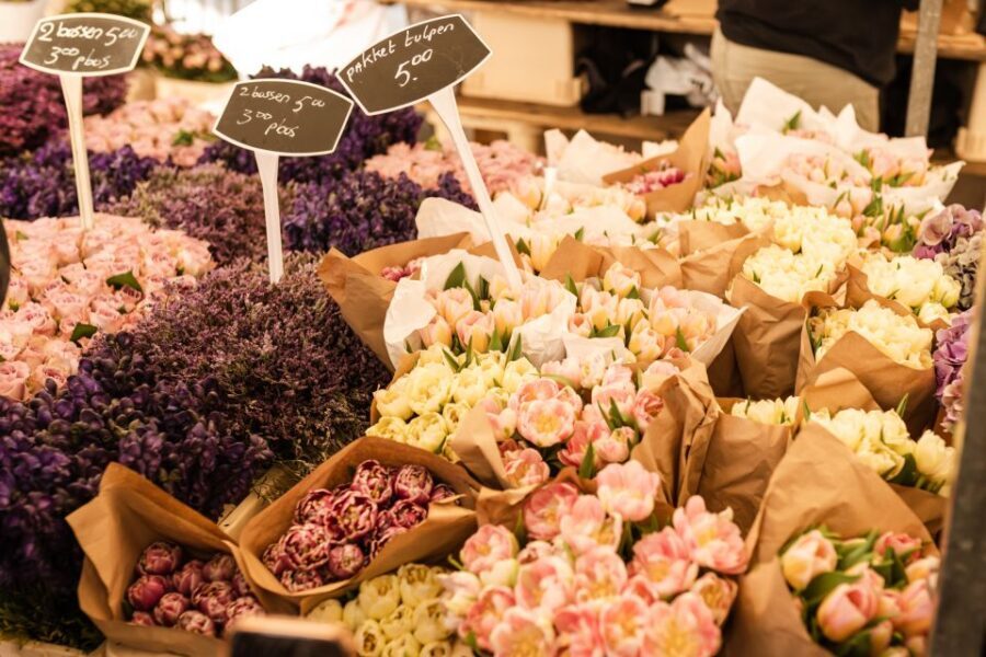 Amsterdam: Highlights & Hidden Gems Private Walking Tour - Bloemenmarkt floating flower market: The detail stop that makes the canals feel real