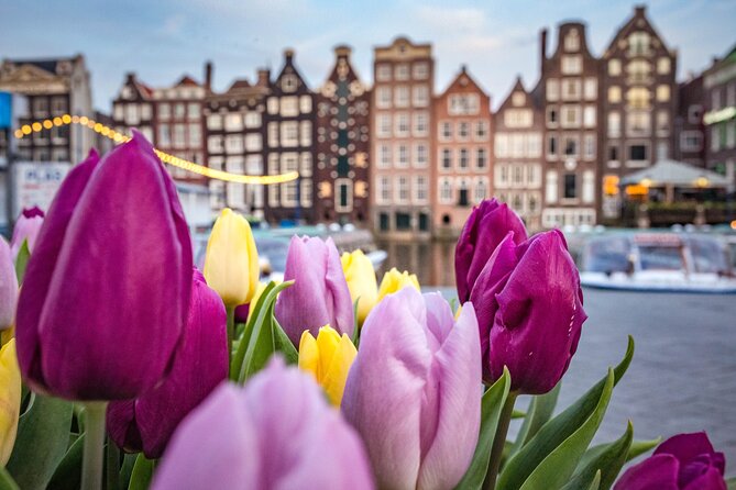 Amsterdam Highlights Walking Tour - Key highlights you’ll feel right away