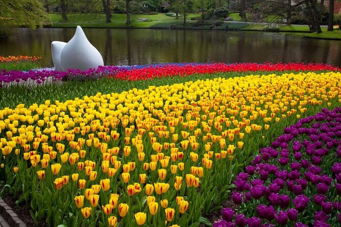Amsterdam: Keukenhof Entry & Shuttle Bus with Flexible Return - Food and breaks: plan around limited options, not a full city menu