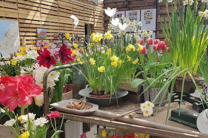 Amsterdam : Keukenhof FlowerFarm Privatetour Skip-The-Line ticket - Optional Noordwijk Beach: Add the Coast If You Still Have Energy