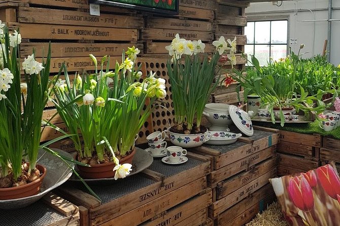 Amsterdam : Keukenhof FlowerFarm Privatetour Skip-The-Line ticket - Timing, What’s Included, and What You Need to Plan