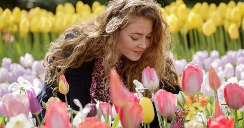 Amsterdam: Keukenhof Ticket and Roundtrip Shuttle Transfer - How long to stay: timing that matches how Keukenhof actually works