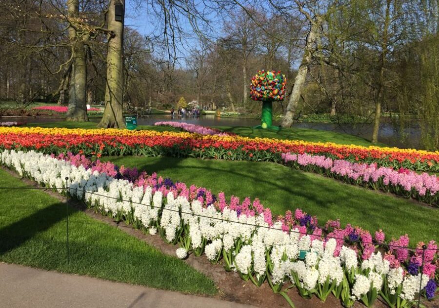 Amsterdam: Keukenhof Tulip Garden and Giethoorn Experience - Key Things I’d Watch For Before You Go