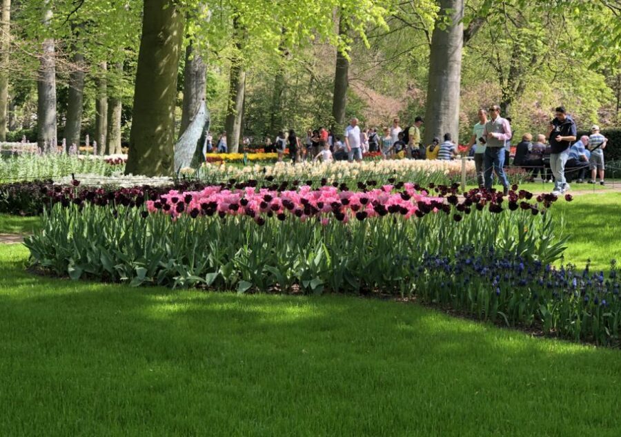 Amsterdam: Keukenhof Tulip Garden and Giethoorn Experience - Giethoorn: The Venice-of-the-North Canal Experience