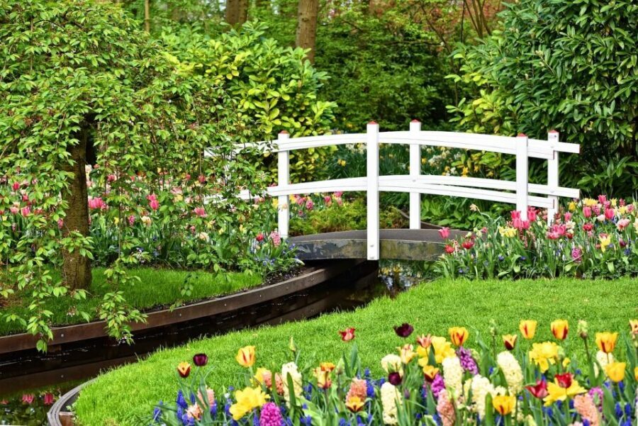 Amsterdam: Keukenhof & Zaanse Schans Windmills Private Tour - Price and logistics: what you’re really paying for at $497 per person