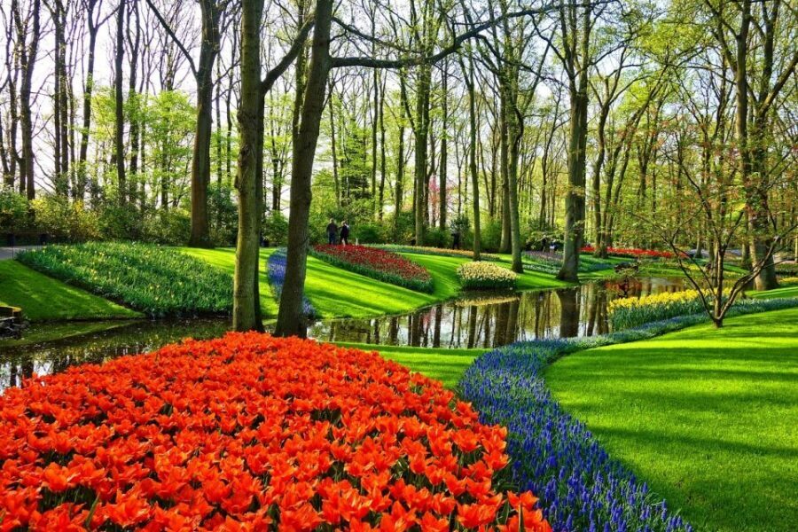 Amsterdam: Keukenhof & Zaanse Schans Windmills Private Tour - Final call: should you book this Amsterdam Keukenhof & Zaanse Schans private tour?