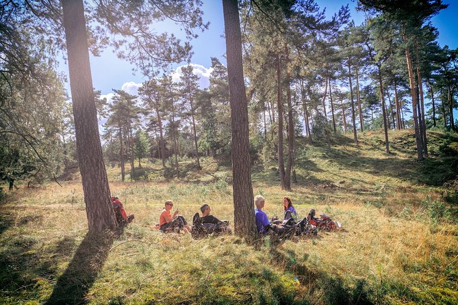 Amsterdam: Kröller Müller Museum and Hoge Veluwe NP Private Tour - Best fit: who this tour suits (and who should rethink it)