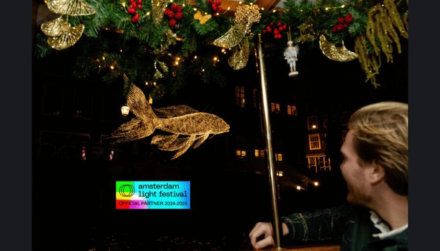 Amsterdam: Light Festival Cruise With Drinks & Snacks - Comfort rules of the road: who this cruise fits best