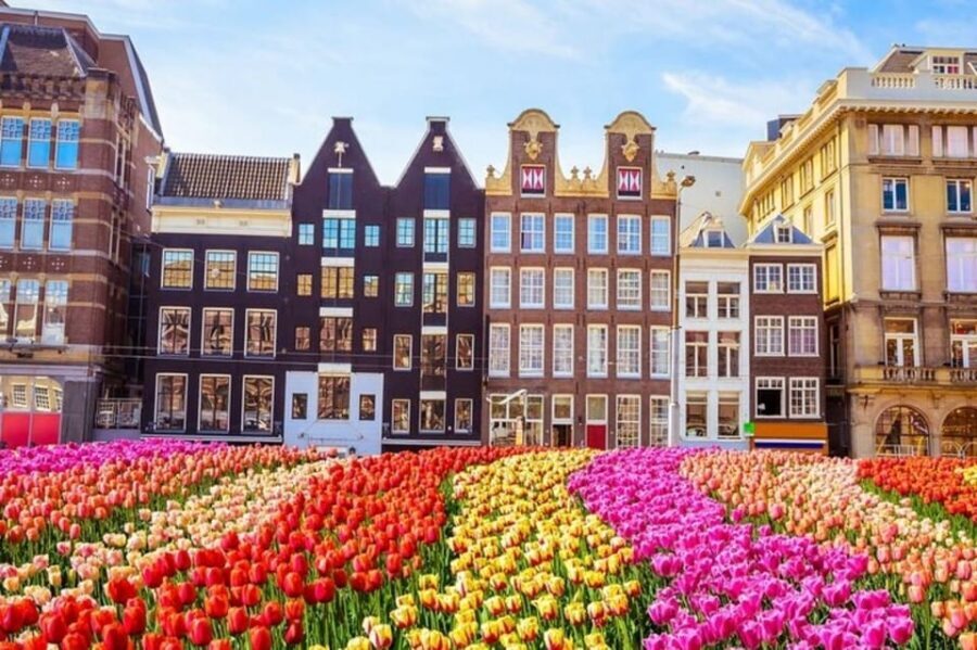 Amsterdam: Must-See Attractions Guided Walking Tour - Portuguese Synagogue and Nieuwmarkt Square: more Amsterdam than postcards