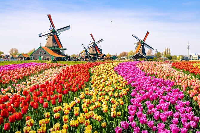 Amsterdam Pass: 45+ Things To Do - Includes Rijksmuseum - Modern Dutch curiosities: Pipe Museum, Tulip Museum, and diamonds