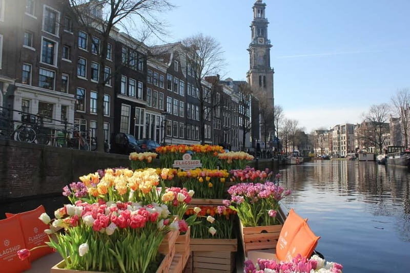 Amsterdam: Premium Tulip Boat Canal Tour - Golden Bend and grand canal houses: why you want the route from the water