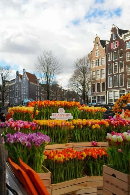 Amsterdam: Premium Tulip Boat Canal Tour - Price and value: what $32 buys you on this premium-style cruise