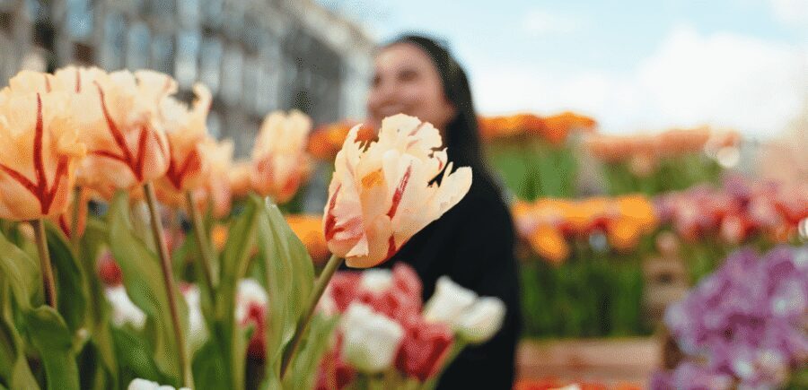 Amsterdam: Premium Tulip Boat Canal Tour - Who should book this tulip canal tour (and who should skip it)