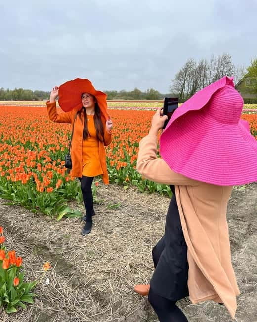 Amsterdam: Private Keukenhof and Free Tulip Tour - Lisse and the free tulip fields stop: quick, photo-first, and flexible